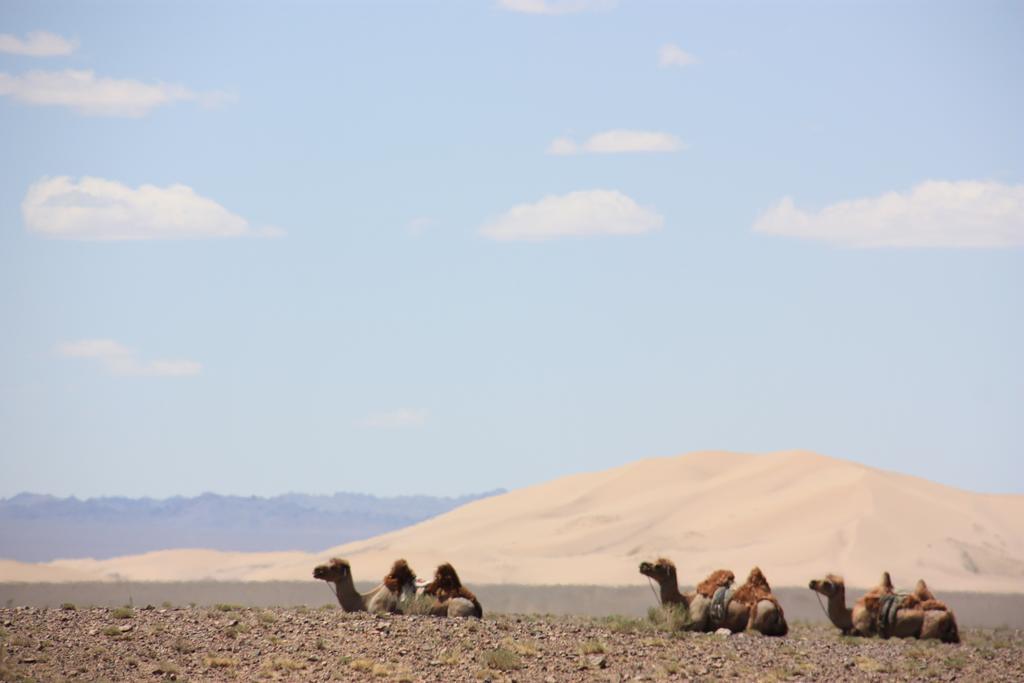 Golden Gobi Hostel & Tours Ulan Bator Exterior foto